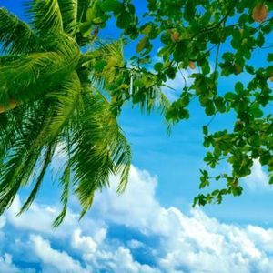 Meet your Posher, Robyn